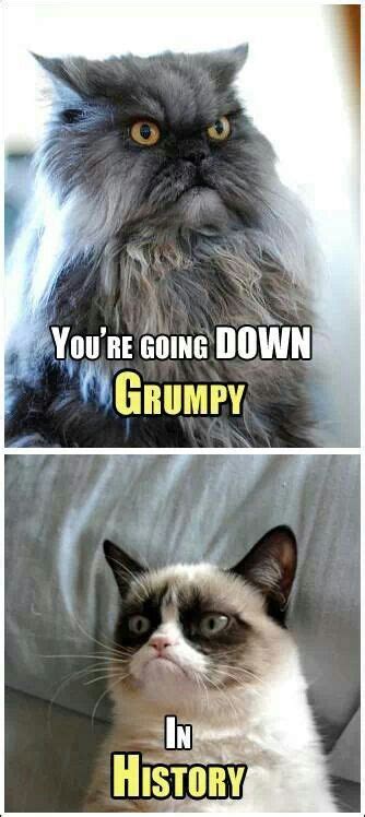Colonel Meow And Grumpy Cat