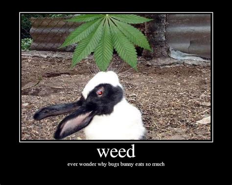 Weed Picture Ebaums World