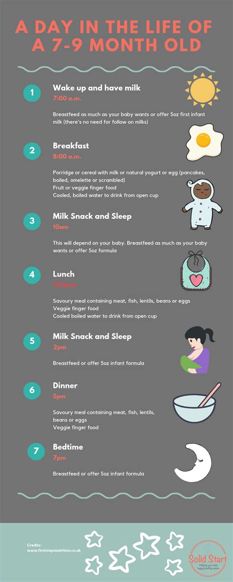 It feels like it was just yesterday you were struggling with all the challenges of new motherhood, staying up all night, feeding constantly till you. Typical Feeding Plan 7-9 Month Old (Infographic) - Solid ...