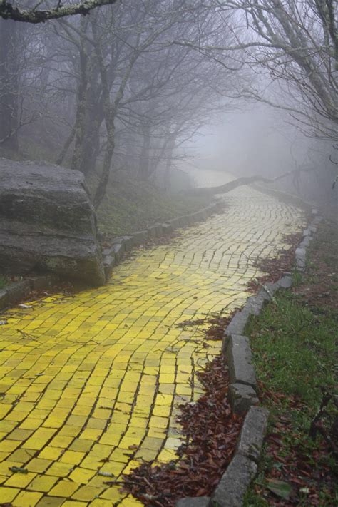 The Eerie Yellow Brick Road Of Abandoned Land Of Oz Theme Park In