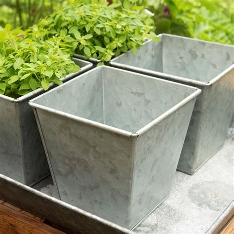 Buy Galvanised Square Pot Delivery By Waitrose Garden