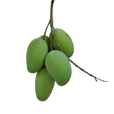 —pngtree—delicious Green Mango6457480
