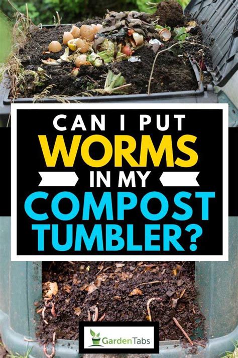 Check spelling or type a new query. Can I Put Worms In My Compost Tumbler? - Garden Tabs