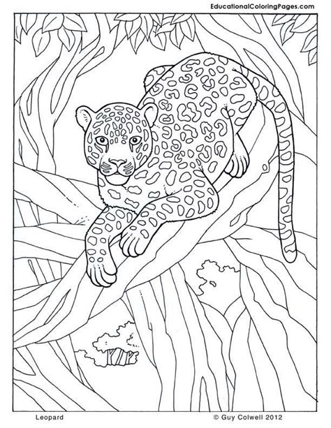 Jungle Safari Coloring Pages Jungle Coloring Pages Free Description
