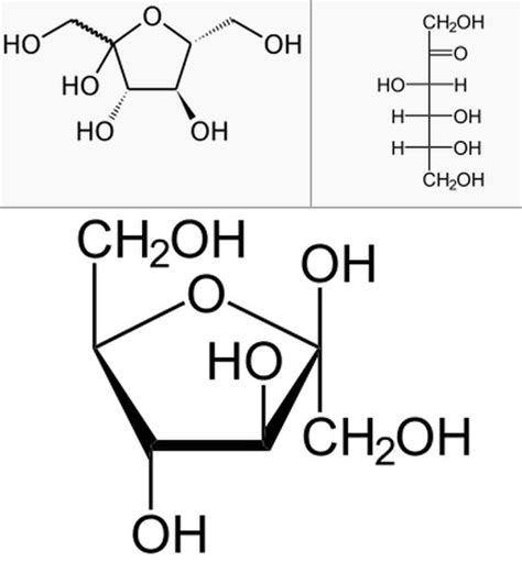 Rumus Struktur Glukosa Fruktosa Dan Galaktosa Berbagai Struktur