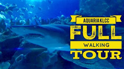 It is an educational overstay and my children had enjoyed it immensely. Aquaria KLCC Full Walking Tour 1080P 60FPS Kuala Lumpur ...