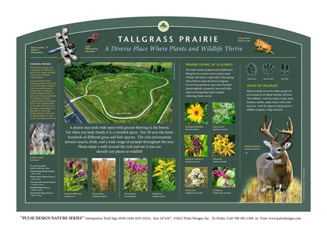 Pdns Prairie Meadow Grassland Habitat Ecosystem Conservation Outdoor