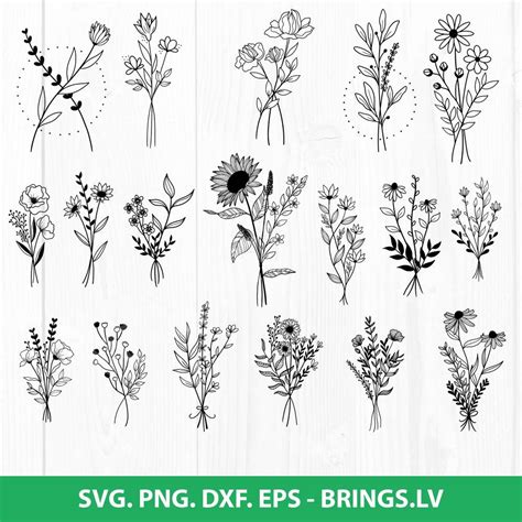 Embellishments Scrapbooking 30 Wildflowers Svg Bundle Hand Drawn