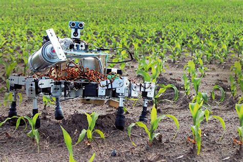Agricultural Robots Easy Working For Farmers Without Labour Cost By