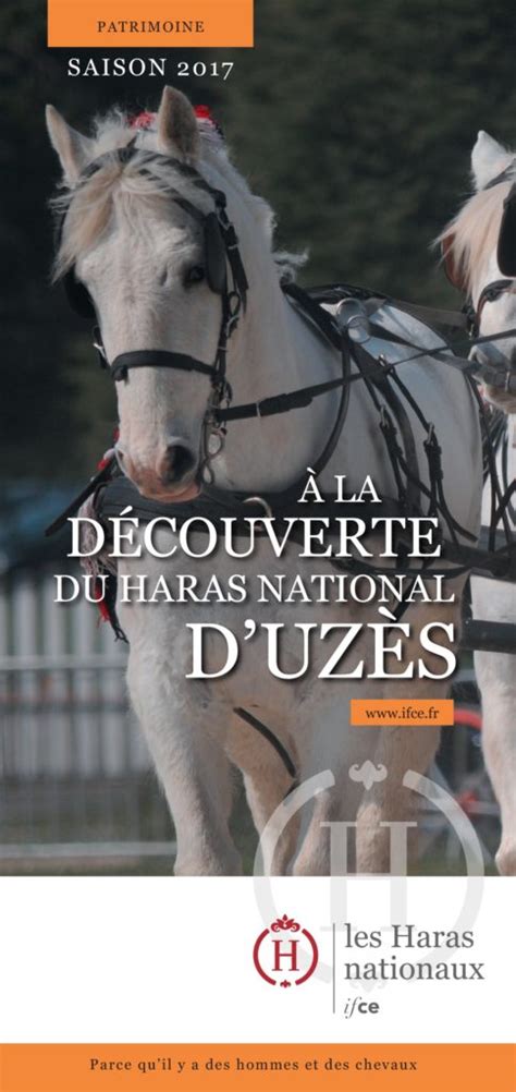 En Attelage Au Cœur Du Haras National Duzès Nouveauté 2017 Les