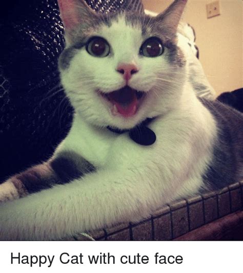 Happy Cat With Cute Face Cute Meme On Meme