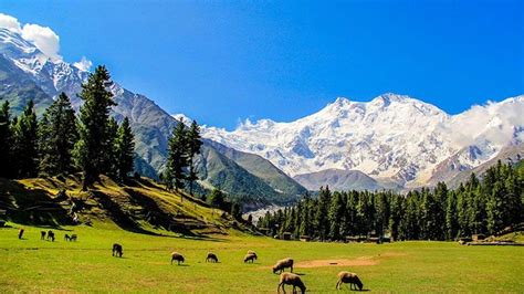 Palaces Pakistan Mountains Natural Landmarks Nature Travel