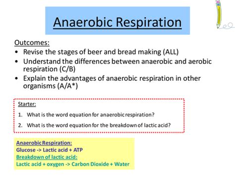 Respiration that requires oxygen anaerobic respiration: Anaerobic Respiration by LOLLIFIED - Teaching Resources - Tes