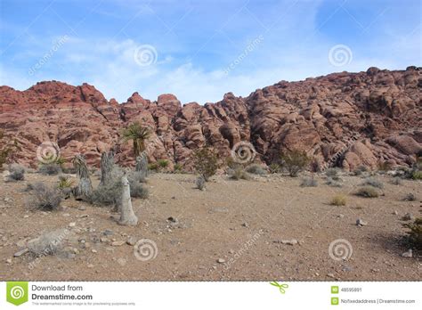 Arizona Red Rock Canyon Desert Landscape Stock Image
