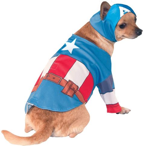 A Dog Dressed Up Like Captain America Sitting On Top Of A White Floor