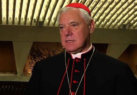 Gerhard ludwig müller kgchs is a german cardinal of the catholic church. Cardeal Gerhard Müller: "A Igreja hoje renunciou a ensinar ...