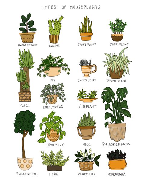 Type Of Houseplants Print On Etsy Types Of Houseplants Houseplants