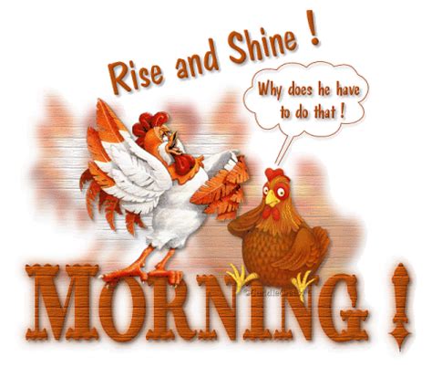 Rise And Shine Good Morning Pictures Photos And Images For Facebook