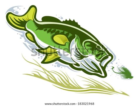 Largemouth Bass Stock Vector Royalty Free