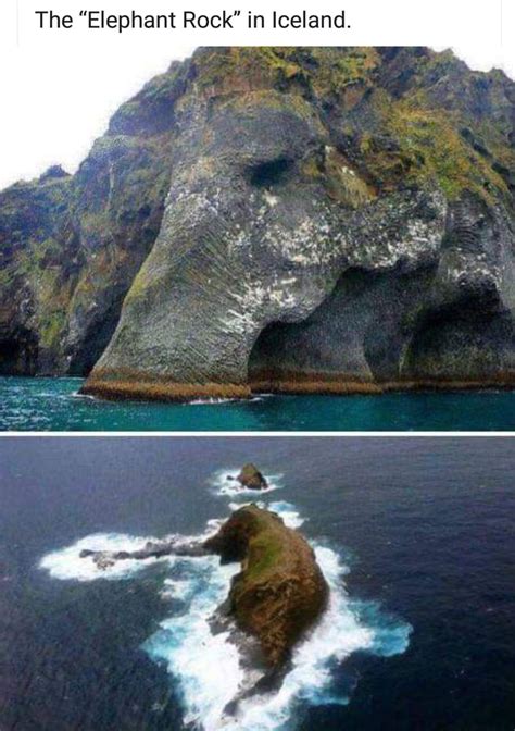 Elephant Island 9gag