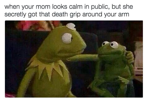 16 Times Kermit The Frog Was A Goddamn T To The Internet