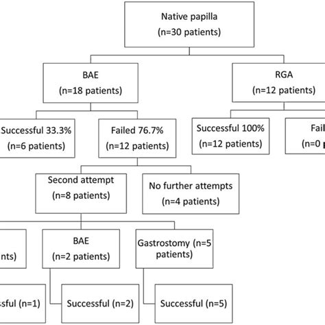 Flow Chart Of Ercp Success Outcome In Patients With Native Papilla