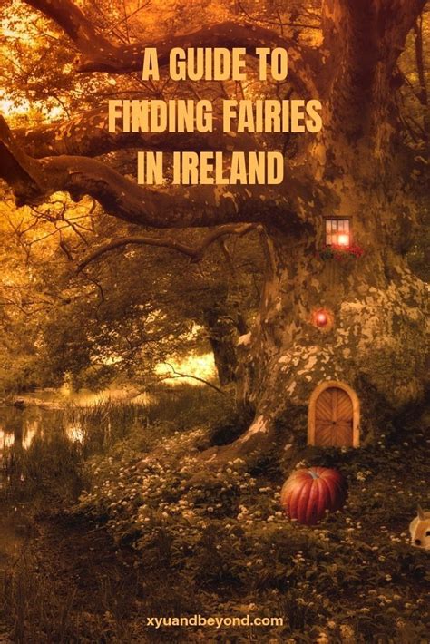 Fairy Forts And Gardens In Ireland Irish Fairies In 2020 Ireland