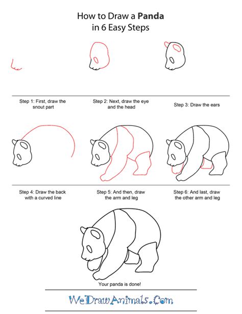 How To Draw Easy Animals Step By Step Image Guide Easy Drawings