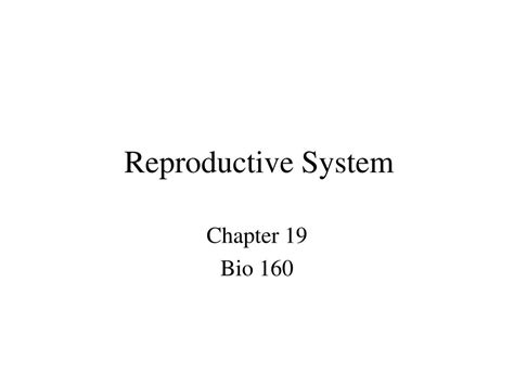 Ppt Reproductive System Powerpoint Presentation Free Download Id