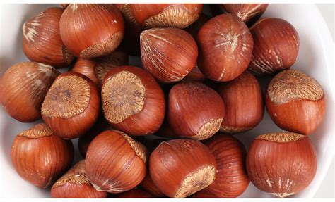 How can i find distributors in china? Chinese suppliers Hazelnut kernels/Hazelnut in shell/ Organic hazelnut products,China Chinese ...
