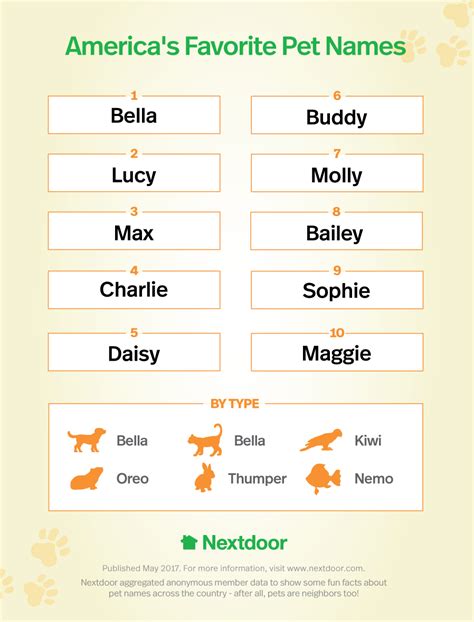 Did Your Pets Name Make The List The Most Popular Pet Names In