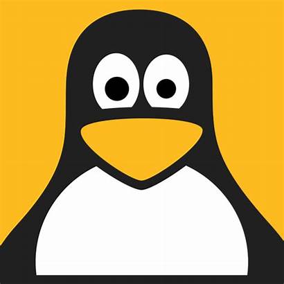 Avatar Linux Penguin Icon Pixabay Profil Kosong
