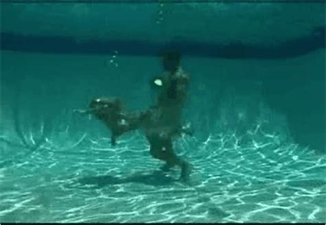 Underwater Erotic And Hardcore Videos Page 99