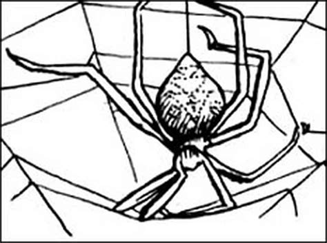 Talk about what it is you're seeing with the kids. Charlotte From Charlotte | Charlottes web, Web tattoo ...