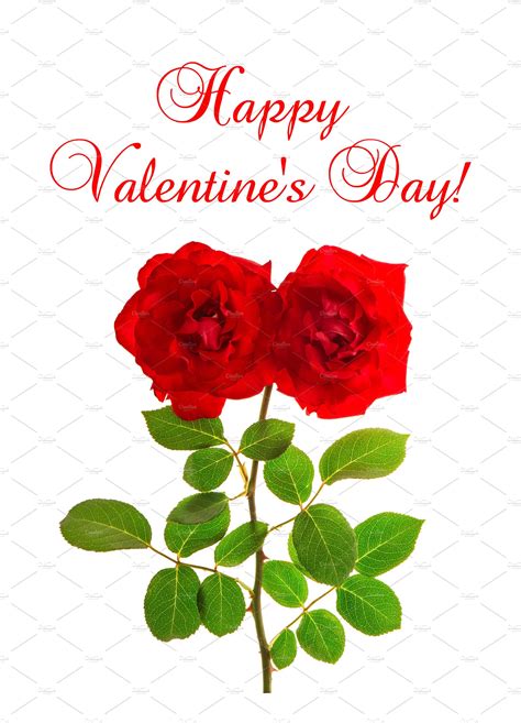 Happy Valentines Day Red Red Roses Holiday Stock Photos ~ Creative Market