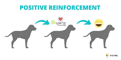 Positive Reinforcement Dog Training 101 The Science Backed Method