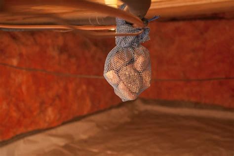 Remove and replace any mildewed insulation carefully; How to Get Musty Smell Out of a Crawlspace in 2020 (With ...