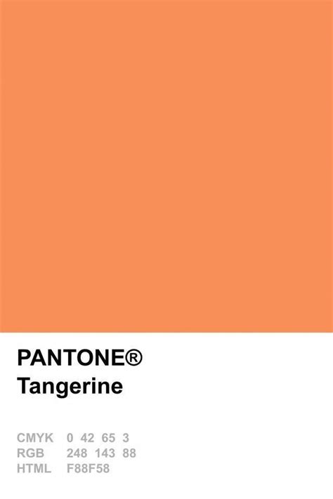 Pantone Farben Einrichtungsideen Minimalismus Design Modernes