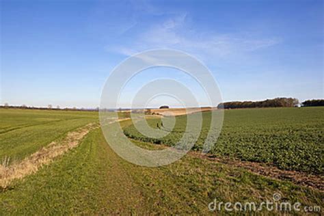 Scenic Bridleway And Farmland Stock Photo Image Of England Farmland
