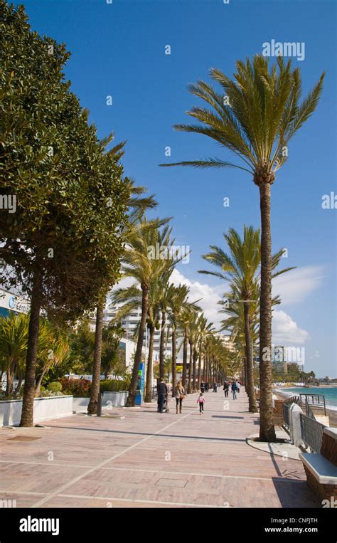 Paseo Maritimo Seaside Promenade Marbella Andalusia Spain Europe Stock