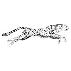 Cheetah drawing easy, how to draw a cheetah for beginners step by step. Cheetah Sitting coloring page - Free Printable Coloring ...