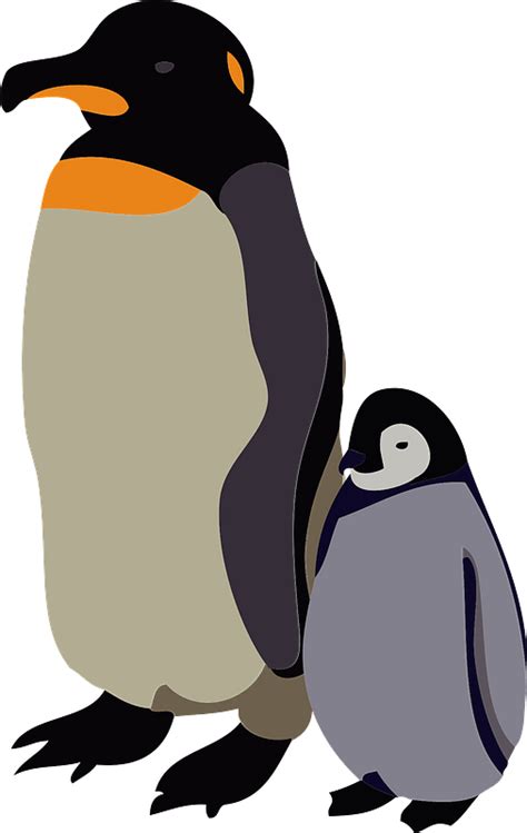 Emperor Penguin And Chick Clipart Free Download Transparent Png
