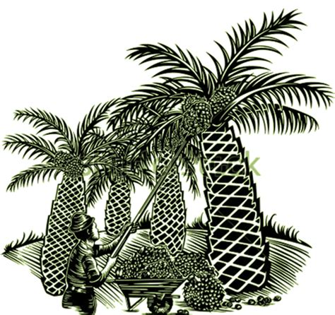 Icon Pohon Kelapa Sawit Vector Imagesee