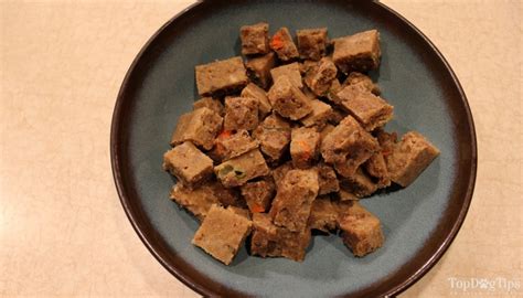 Homemade Kibble Dog Food Recipes My Bios
