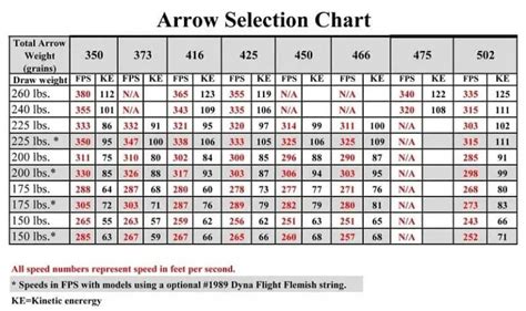 Crossbow Bolt Vs Arrow Key Differences And Tips For Choosing