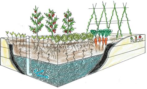 A wicking bed implies a water reservoir at the bottom of the garden bed so plants can pull water from there. Self-Watering Wicking Beds - Leaf, Root & Fruit Gardening ...