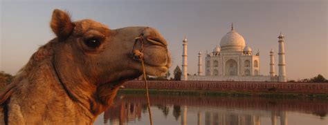 We were the first to make a virtual aerial tour around taj mahal, one of the. India - Timeless Land of the Taj Mahal & Wild Tigers ...