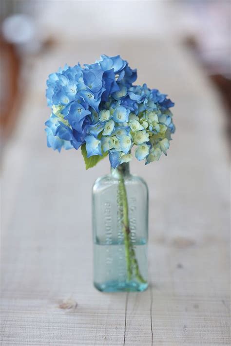 Blue Hydrangeas In A Glass Vase Pretty Flowers Beautiful Flowers