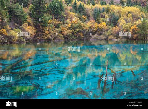 De Jiuzhaigou Parque Nacional Lago De Las Cinco Flores China Asia