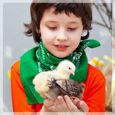 Our other texas based companies are austin petting zoo, dallas petting zoo, san antonio petting zoo, austin animal shows, and houston animal. Houston Birthday Parties for Kids | My Petting Zoo Party ...